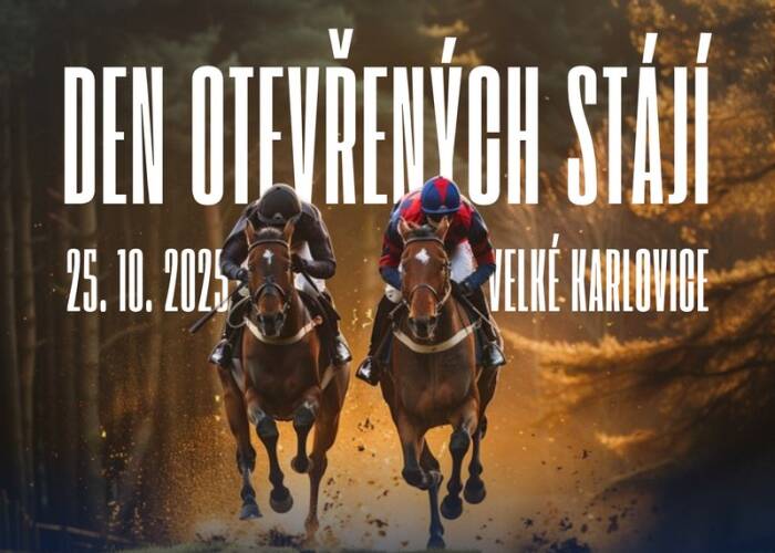 Pozvánka: Den otevřených stájí Valencio 2025
