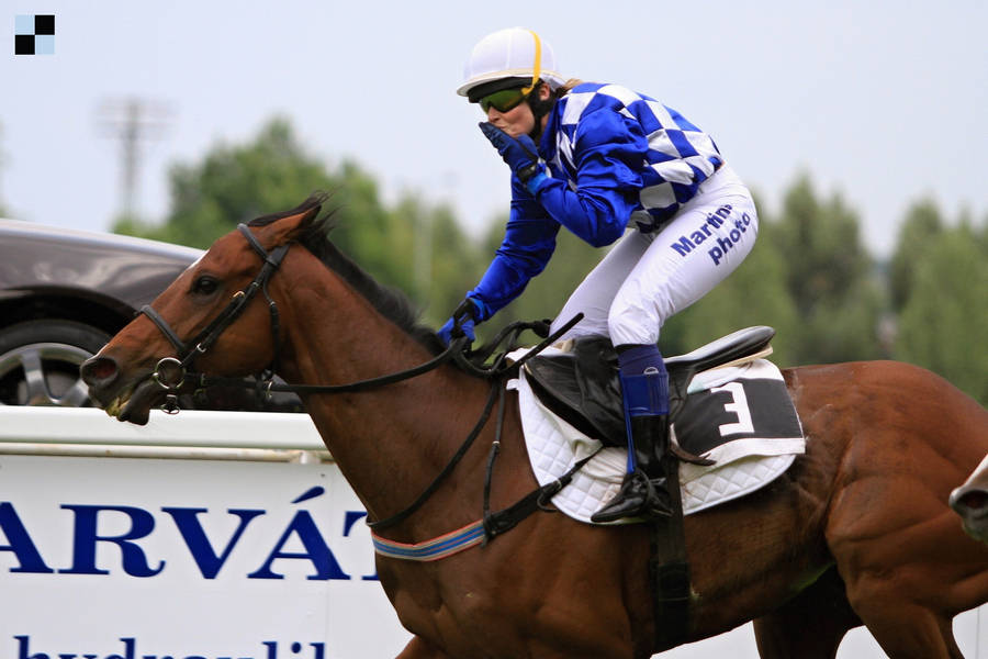 Zuzana Vokálková & Always On Sunday