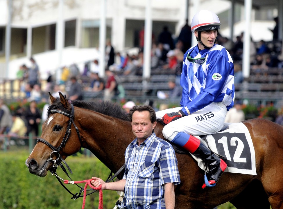 Brog Deas - foto: http://www.pardubice-racecourse.cz/