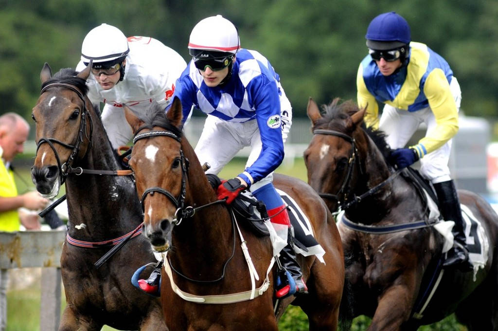 Brog Deas - foto: http://www.pardubice-racecourse.cz/