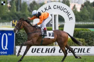 Autor - Galopp-reporter