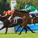 Songster