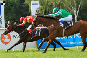 Songster