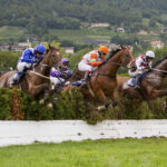 Brog Deas - Gran Siepi di Merano - foto: Press Arigossi