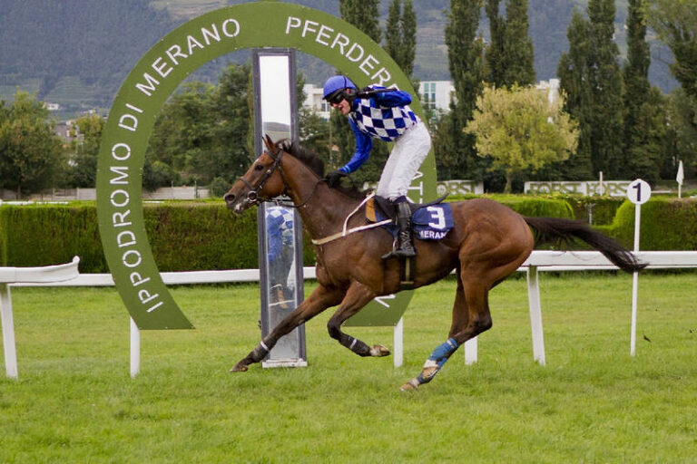 Brog Deas - Merano 2014