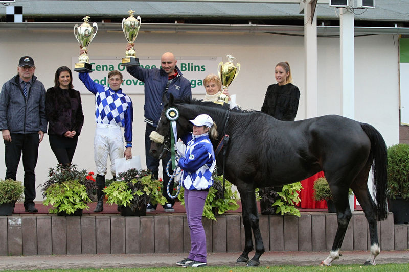 Handsome Jack - Pardubice - Šárka Votavová + Galopp-reporter.cz