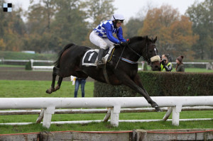 Handsome Jack - Pardubice - Šárka Votavová + Galopp-reporter.cz