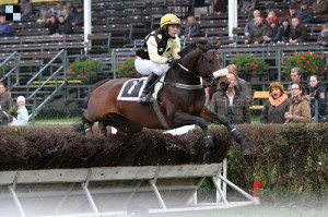 Stinga - Pardubice - Šárka Votavová + Galopp-reporter.cz