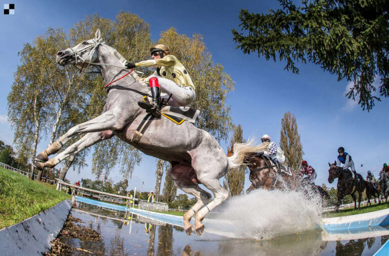 Shaman - Poplerův memorial 2014 - Petr Lusk (Galopp-reporter.cz)