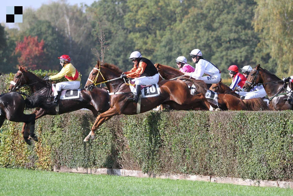 Pyšný Páv - Pardubice - Šárka Votavová pro Galopp-reporter.cz