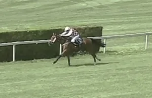 Basso - Itálie - screenshot video