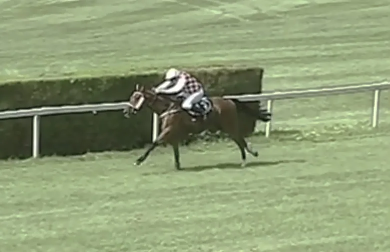 Basso - Itálie - screenshot video