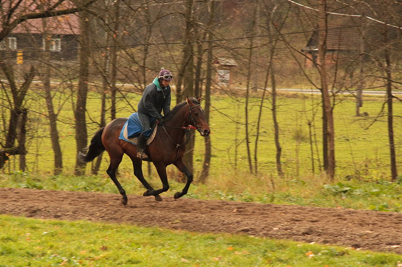 Kifaaya - trenink - listopad 2014