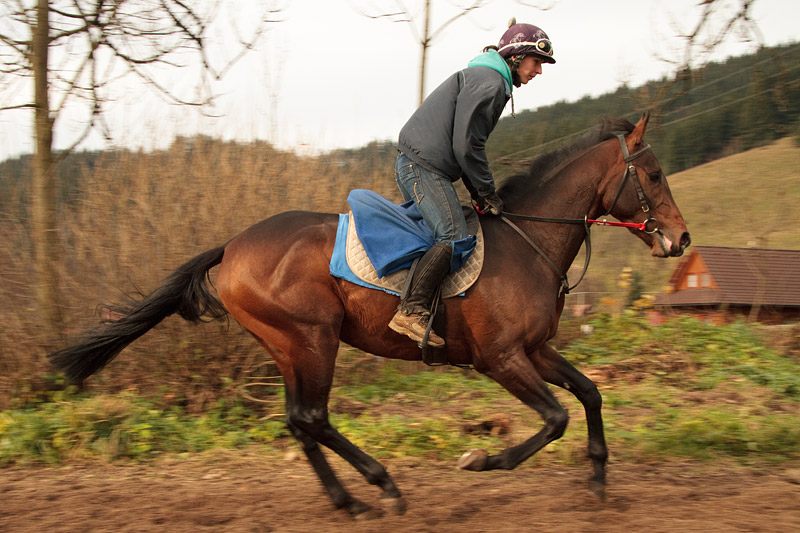 Kifaaya - trenink - listopad 2014