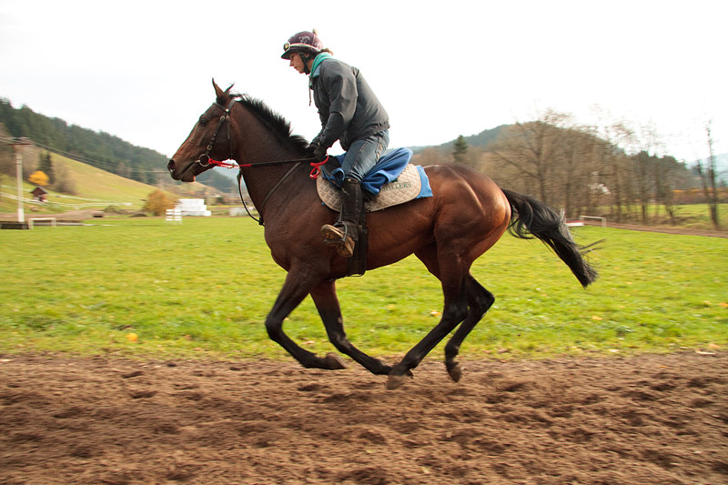Kifaaya - trenink - listopad 2014