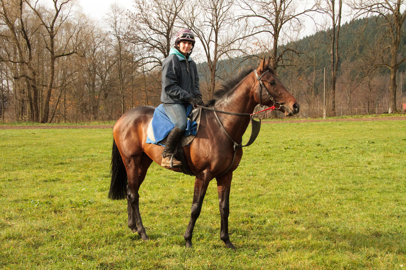 Kifaaya - trenink - listopad 2014