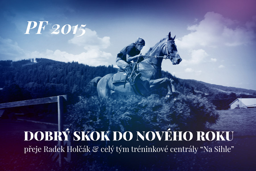 PF 2015 - Radek Holčák & tým
