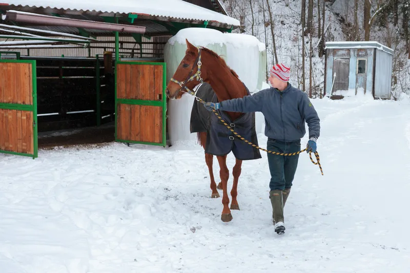 Zima v Karlovicích - únor 2015