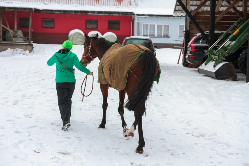 Zima v Karlovicích - únor 2015
