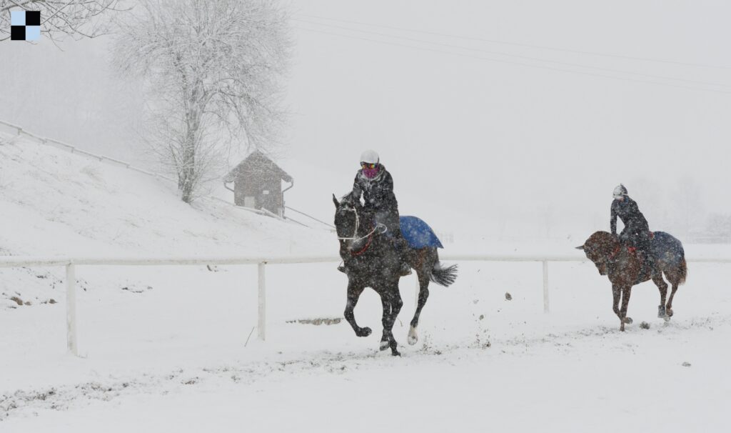 Zima 2015 - Galopp-reporter - Bohumil Křižan
