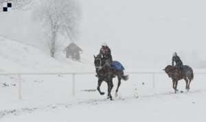 Zima 2015 - Galopp-reporter - Bohumil Křižan