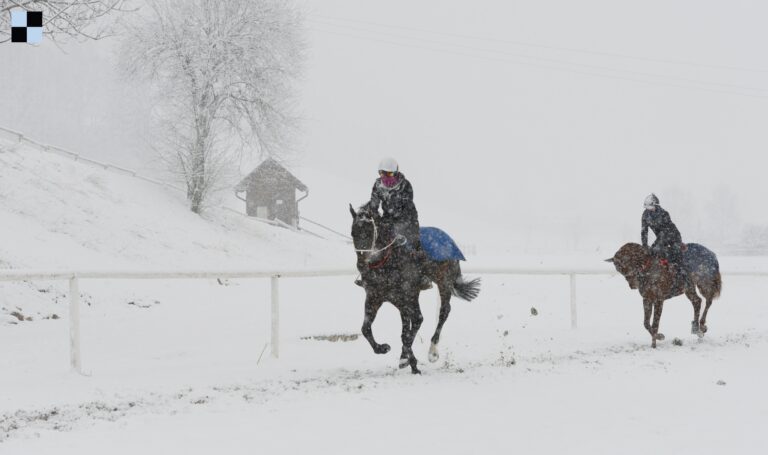 Zima 2015 - Galopp-reporter - Bohumil Křižan