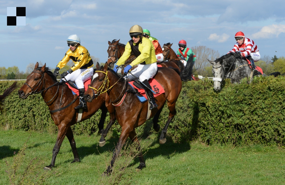 Stefan & Lukáš Matuský - Brno (foto: Bohumil Křižan pro Galopp-reporter.cz)