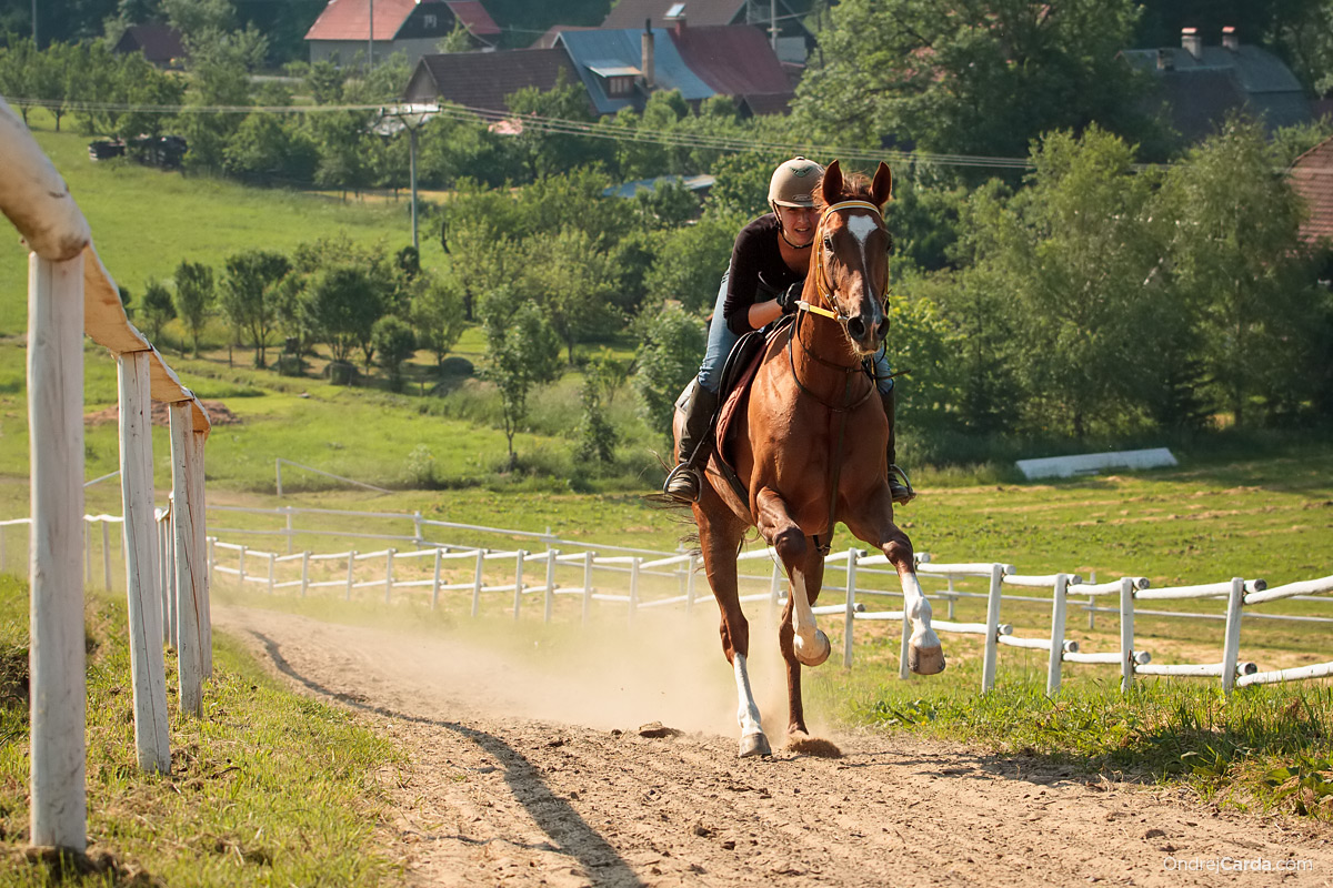 Valencio Holčák - foto: Ondřej Carda - www.ondrejcarda.com