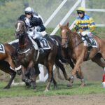 Lingarry (uprostřed) - Foto: Bohumil Křižan & Galopp reporter