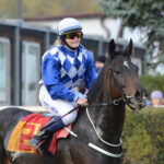 Playstarabad:foto Křižan-galoop reportér