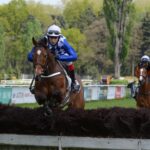 Pardubice - foto: Bohumil Křižan