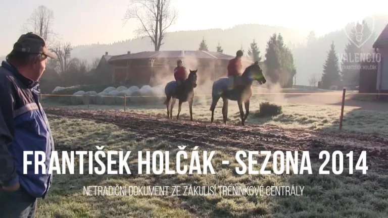 Dokument - sezona 2014
