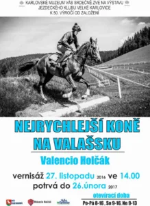 Výstava - Nejrychlejší koně na Valašsku