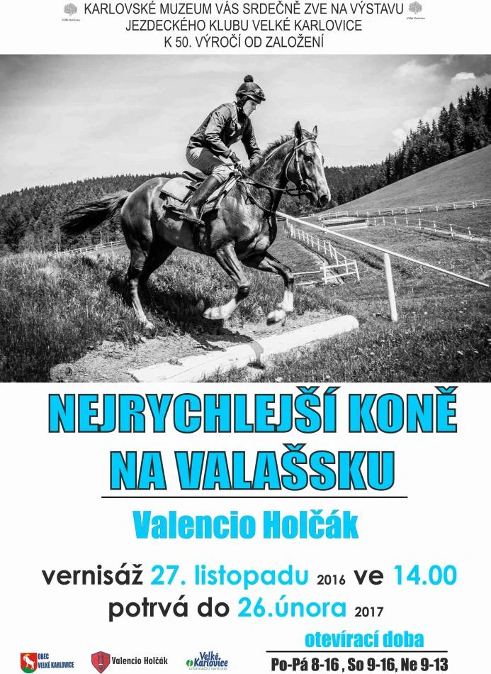 Výstava - Nejrychlejší koně na Valašsku