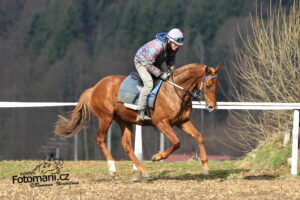 Valencio Holčák - foto: Romana Nevěřilová - www.fotomarii.cz