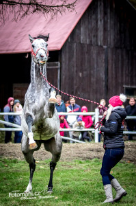 191102_1_ (183)_Denotevrenychstaji2019